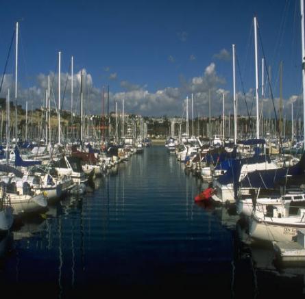 Un attimo ... una bellissima immagine apparir subito.